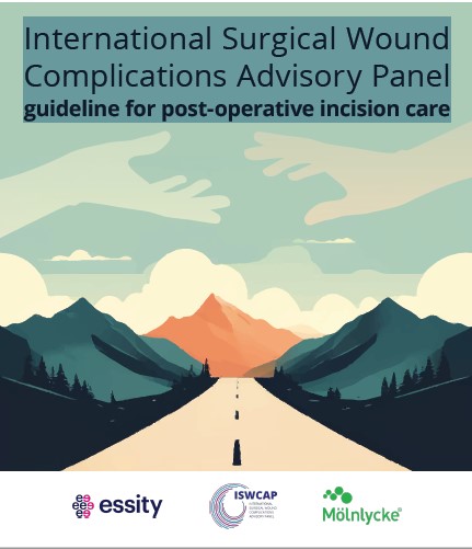 Guideline SSI 2025