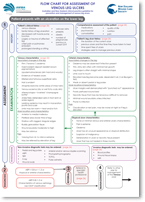 Leg Ulcer Assessment Chart